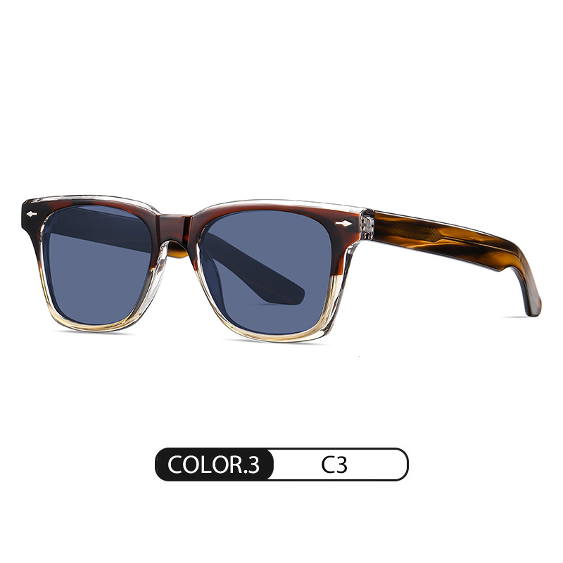 The Verona Shades in Tortoise Azure